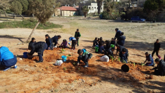 صور: طلاب مدرسة حسن عرفة والاخوة يشاركون في فعاليات يوم الترميم والزرع 